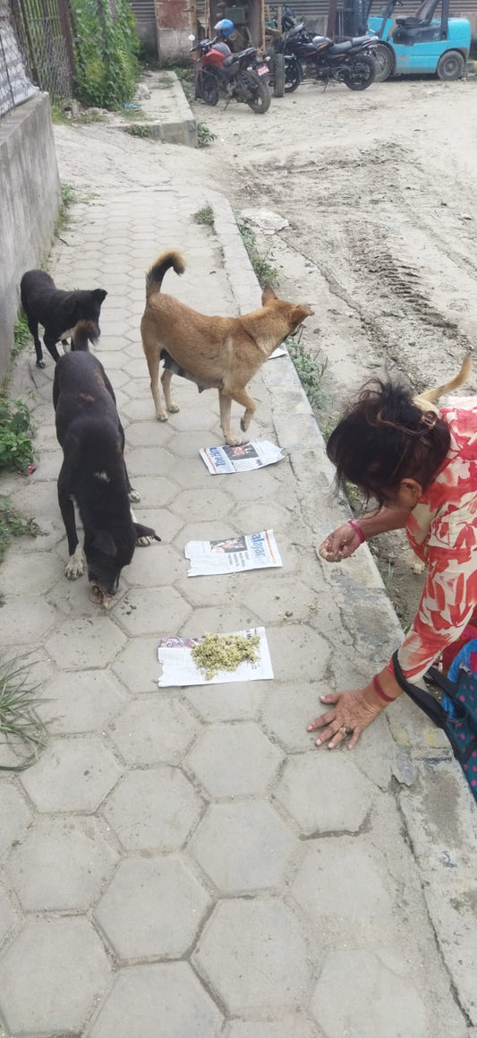 Compassion in Action:  Celebrating Women and Kindness Beyond International Women’s Day